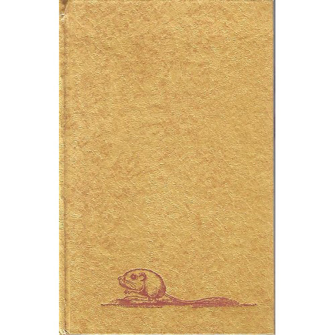 Guide to The East Mojave Heritage Trail — Fenner To Needles [Segment 4]