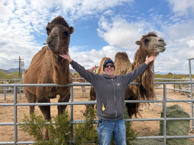 Man with his arms raised standing between two camels. Camp with the Camels at Goffs, Mojave Desert Heritage & Cultural Association photo: Laura Misajet